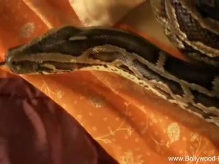 Bollywood khoả thân: nhỏ người yêu trêu chọc với con rắn bollywood phong cách